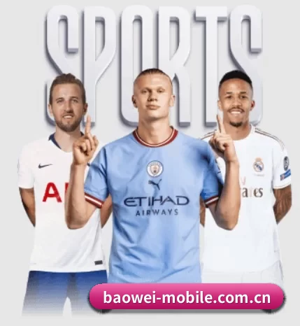 了解平台 - 体育资讯内容服务 - Baowei Sports