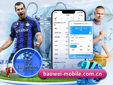 宝威 APP | Baowei Sports
